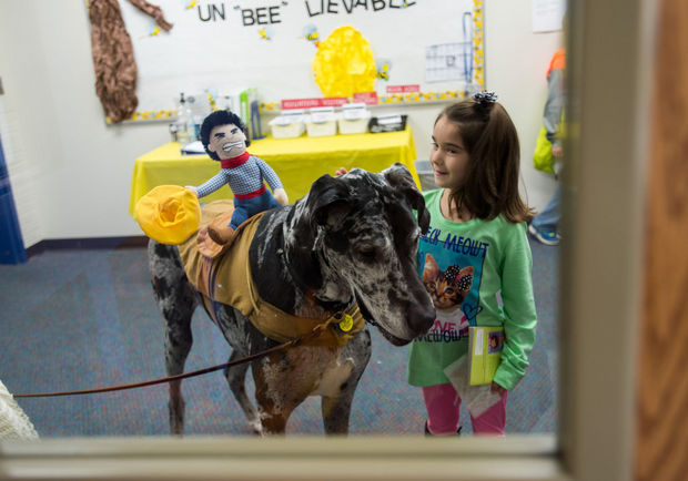 Therapy dogs big and small help students at Bay City school build reading confidence