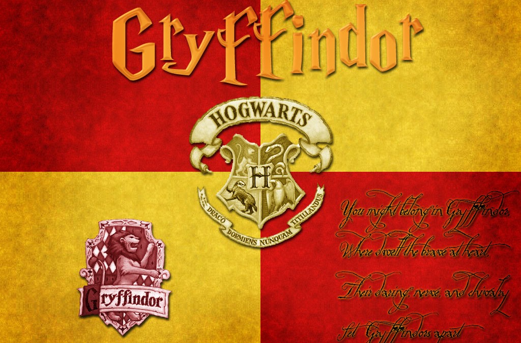 ‘Harry Potter’ Series Gives Sick Girl Reason To Live