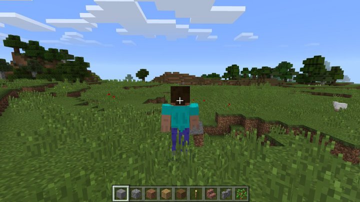 Minecraft Windows 10 Edition: What You Need to Know