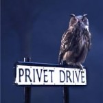Warner Bros Studio Tour London Opens Its doors to Privet Drive!