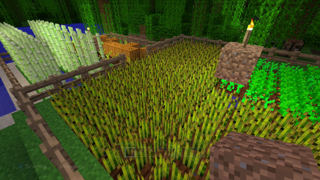 Taking The Minecraft Vegetarian Challenge