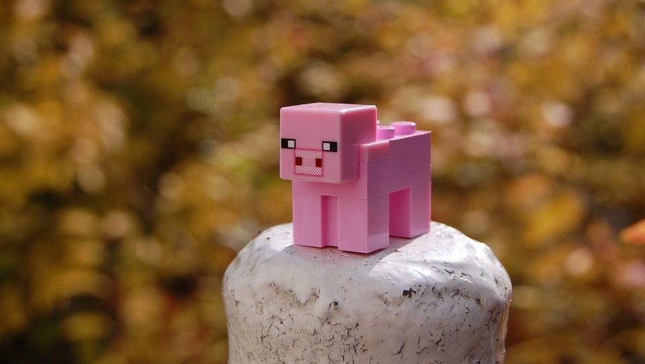 GGServers: How a Minecraft Addiction Led to Profit