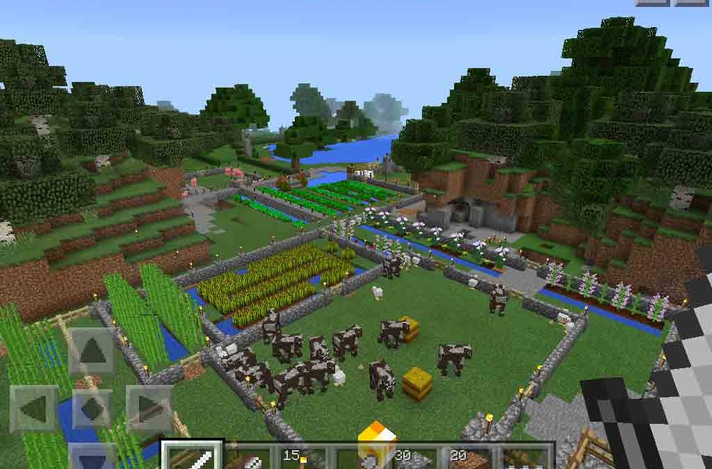 Into the Minecraft world